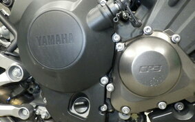 YAMAHA MT-09 2014 RN34J