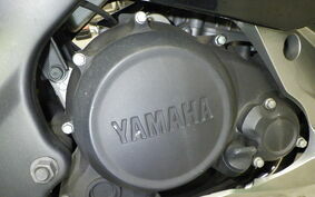 YAMAHA YZF-R15 1CK0