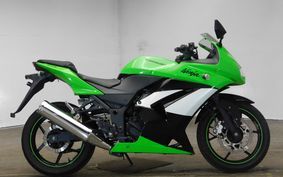 KAWASAKI NINJA 250R 2009 EX250K