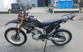 YAMAHA WR250R DG15J