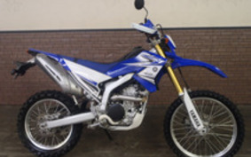 YAMAHA WR250R 2011 DG15J