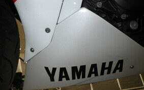 YAMAHA YZF-R1 2009 RN24J