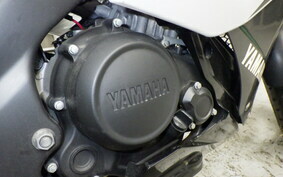 YAMAHA YZF-R15 1CK0