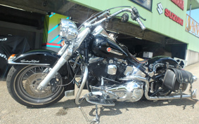 HARLEY FLSTC 1992 BJL