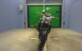 YAMAHA FZ FAZER 2008 RN21J