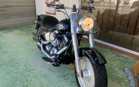 HARLEY FLSTF 2007 BX5