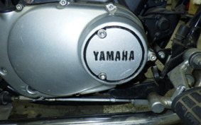 YAMAHA VIRAGO 250 TRIKE 3DM