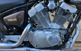 YAMAHA VIRAGO 250 3DM