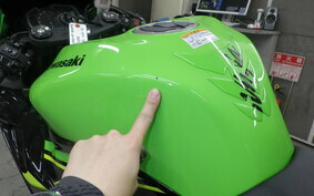 KAWASAKI NINJA ZX-6R A 2019 ZX636G