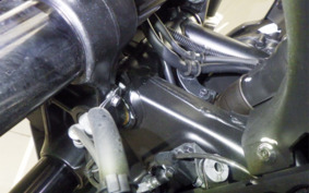 HONDA TRANSALP XL750 2024 RD16