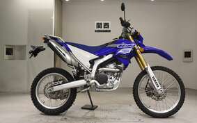 YAMAHA WR250R DG20