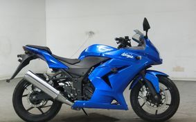 KAWASAKI NINJA 250R 2009 EX250K