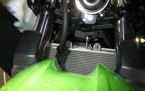 KAWASAKI NINJA 250 EX250Y