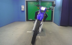 YAMAHA WR250R 2007 DG15J