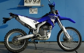 YAMAHA WR250R 2007 DG15J