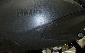 YAMAHA TRICITY 300 2021 SH15J