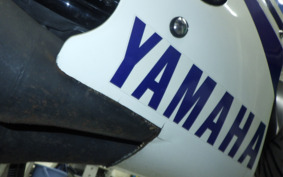 YAMAHA RZ250RR 29L