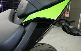 KAWASAKI NINJA ZX-6R A 2022 ZX636G