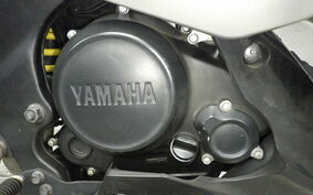 YAMAHA YZF-R15 RG06