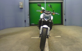 YAMAHA FZ FAZER 2008 RN21J