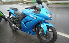 KAWASAKI NINJA 250R 2010 EX250K