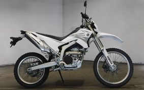 YAMAHA WR250R DG15J