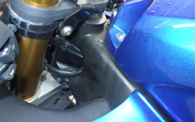 SUZUKI GSX-R1000R A 2020 DM11G