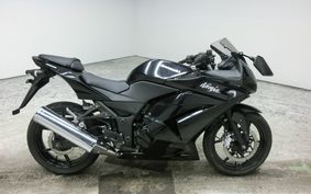 KAWASAKI NINJA 250R 2009 EX250K