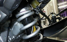 YAMAHA FZ FAZER 2009 RN16