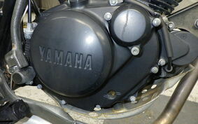 YAMAHA TW225 DG09J