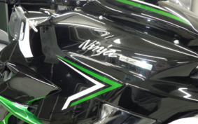 KAWASAKI NINJA H2 SX 2024 ZXT02P