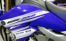 YAMAHA WR250R DG15J