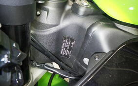 KAWASAKI NINJA ZX-6R A 2022 ZX636G