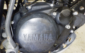 YAMAHA TW200 Gen.2 DG07J