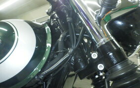 KAWASAKI W800 2020 EJ800B