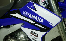 YAMAHA WR250R DG15J