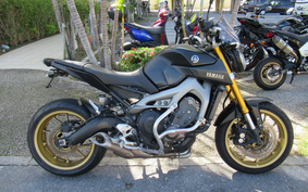 YAMAHA MT-09 2014 RN34J