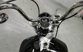 HARLEY FXST1750 2020 BVJ