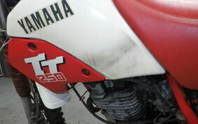 YAMAHA TT250 1LN