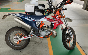 KTM 250 EXC SIXDAYS GSA20