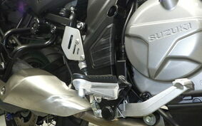 SUZUKI DL650 ( V-Strom 650 ) 2020 C733A