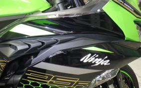 KAWASAKI ZX-25R ZX250E