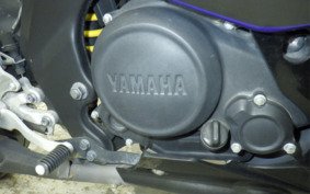 YAMAHA YZF-R15