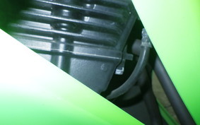 KAWASAKI NINJA 250R EX250K