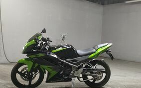 KAWASAKI NINJA 150 RR KR150P