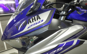 YAMAHA YZF-R25 RG10J