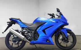 KAWASAKI NINJA 250R 2008 EX250K