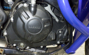 YAMAHA YZF-R25 RG43J