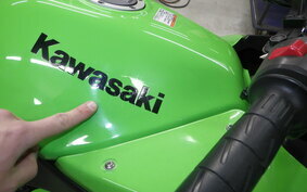 KAWASAKI NINJA 250R EX250K