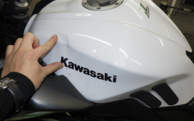 KAWASAKI Z250 ER250C